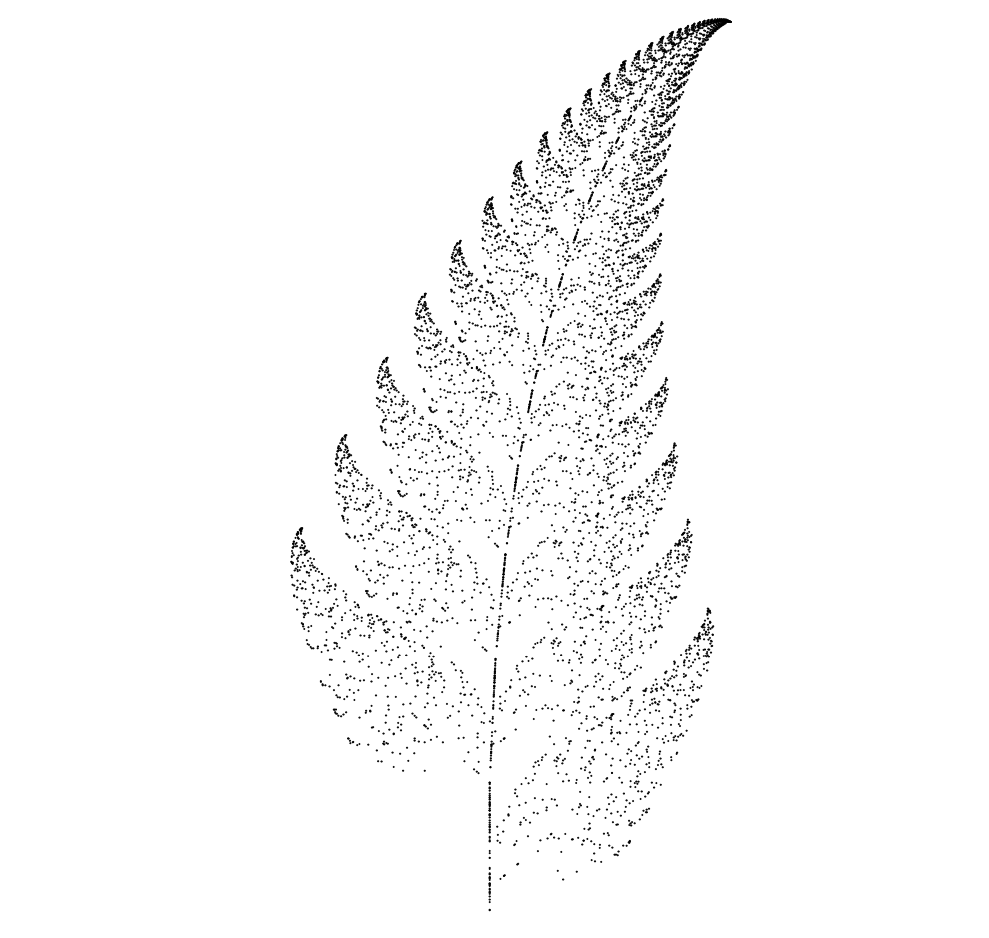 fern